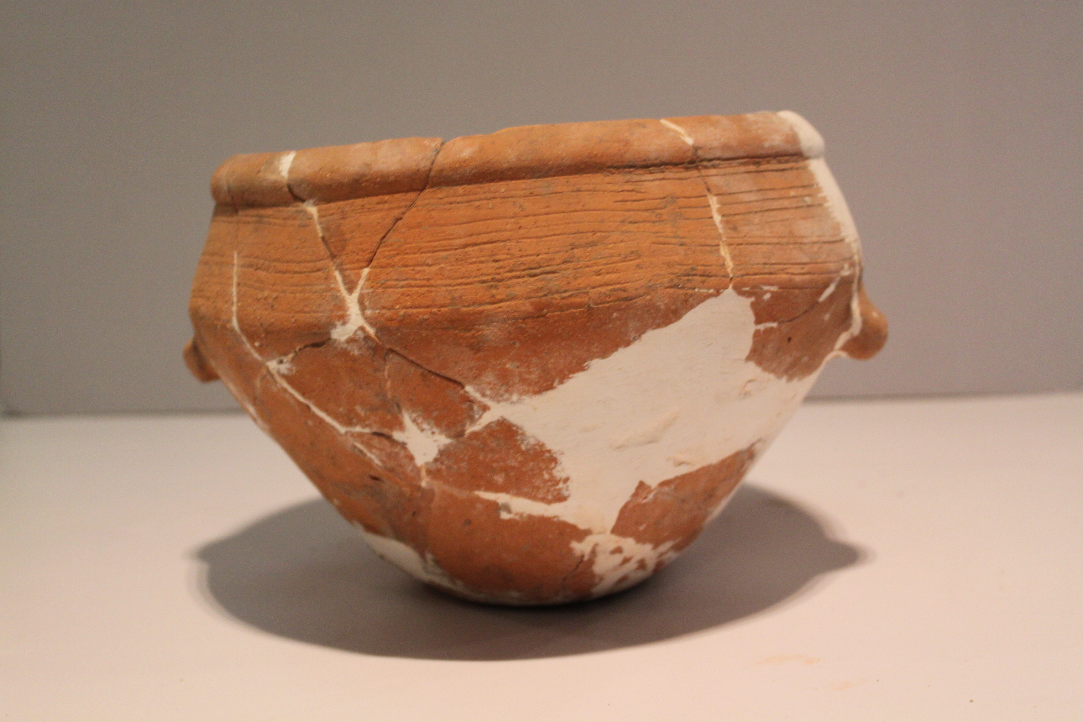 敛口折腹双耳盆